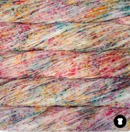Malabrigo Sock
